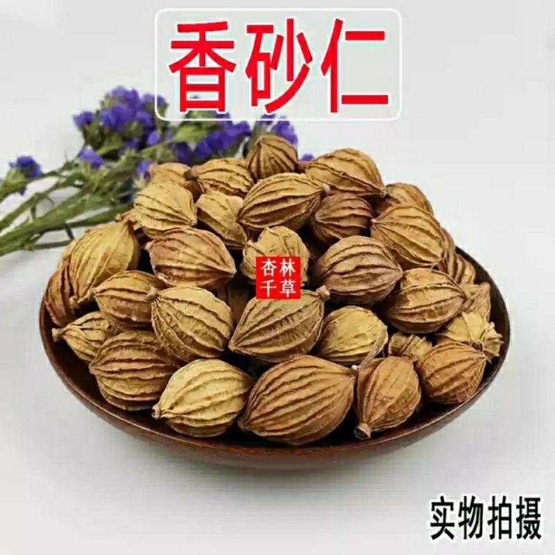 中药材砂仁川砂仁金砂仁香砂仁菜砂仁包邮