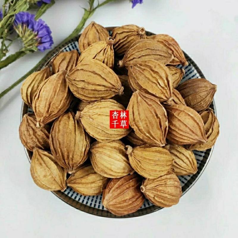 中药材砂仁川砂仁金砂仁香砂仁菜砂仁包邮