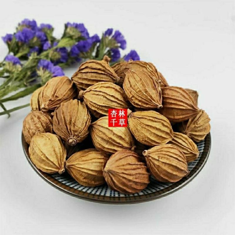 中药材砂仁川砂仁金砂仁香砂仁菜砂仁包邮