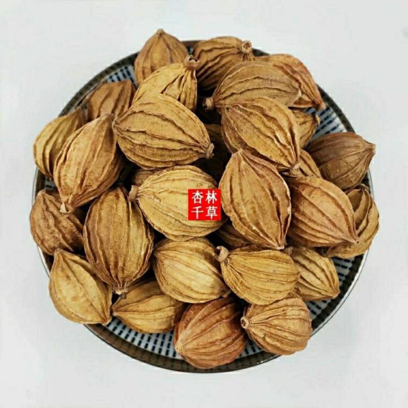 中药材砂仁川砂仁金砂仁香砂仁菜砂仁包邮