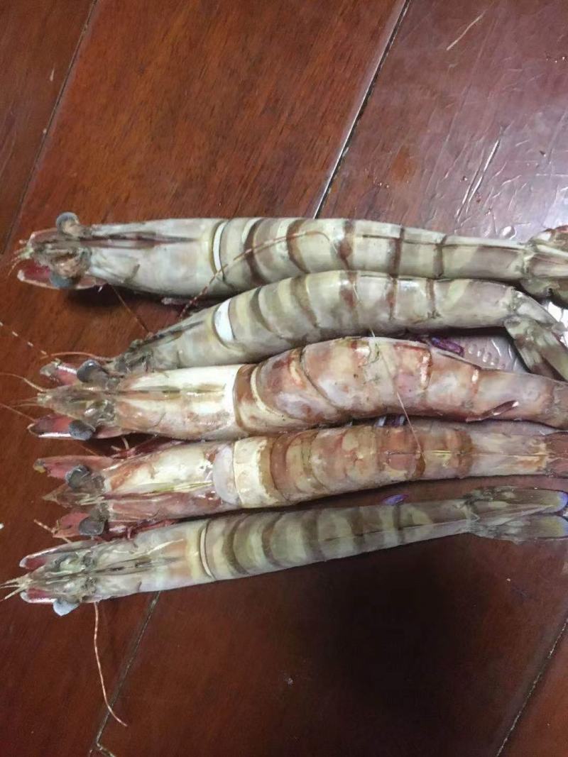 虾