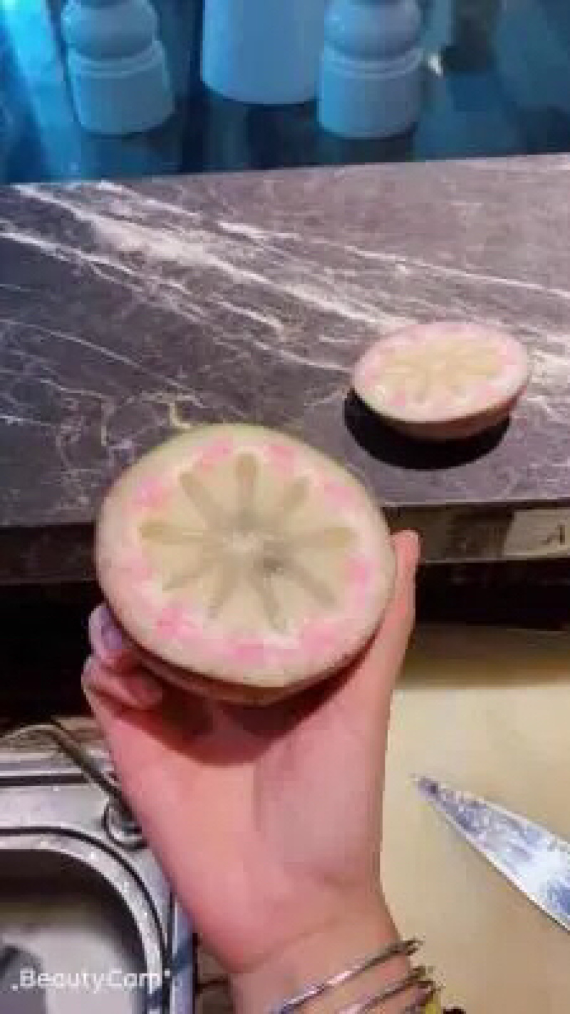 紫色牛奶果
