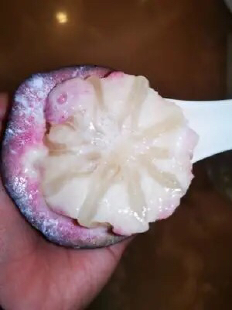紫色牛奶果