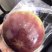 紫色牛奶果