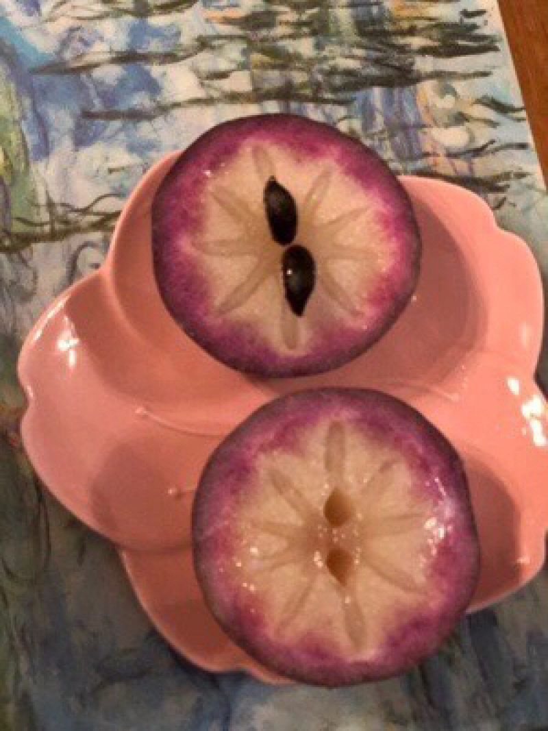 紫色牛奶果