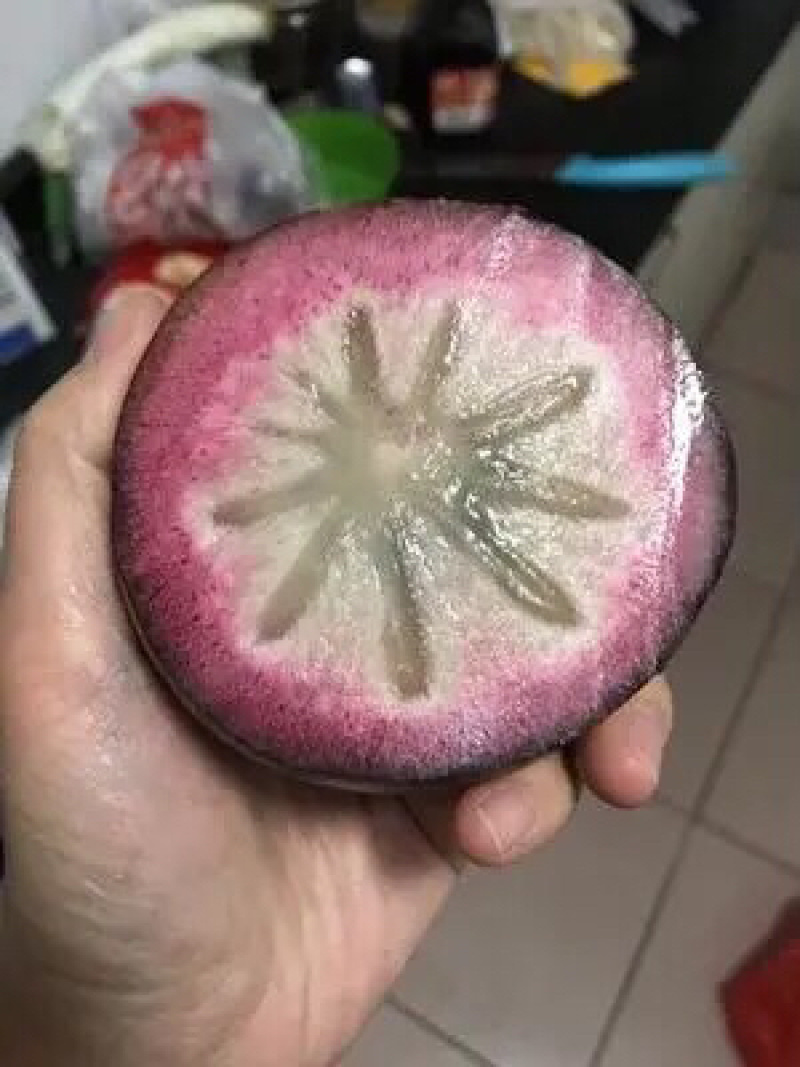 紫色牛奶果