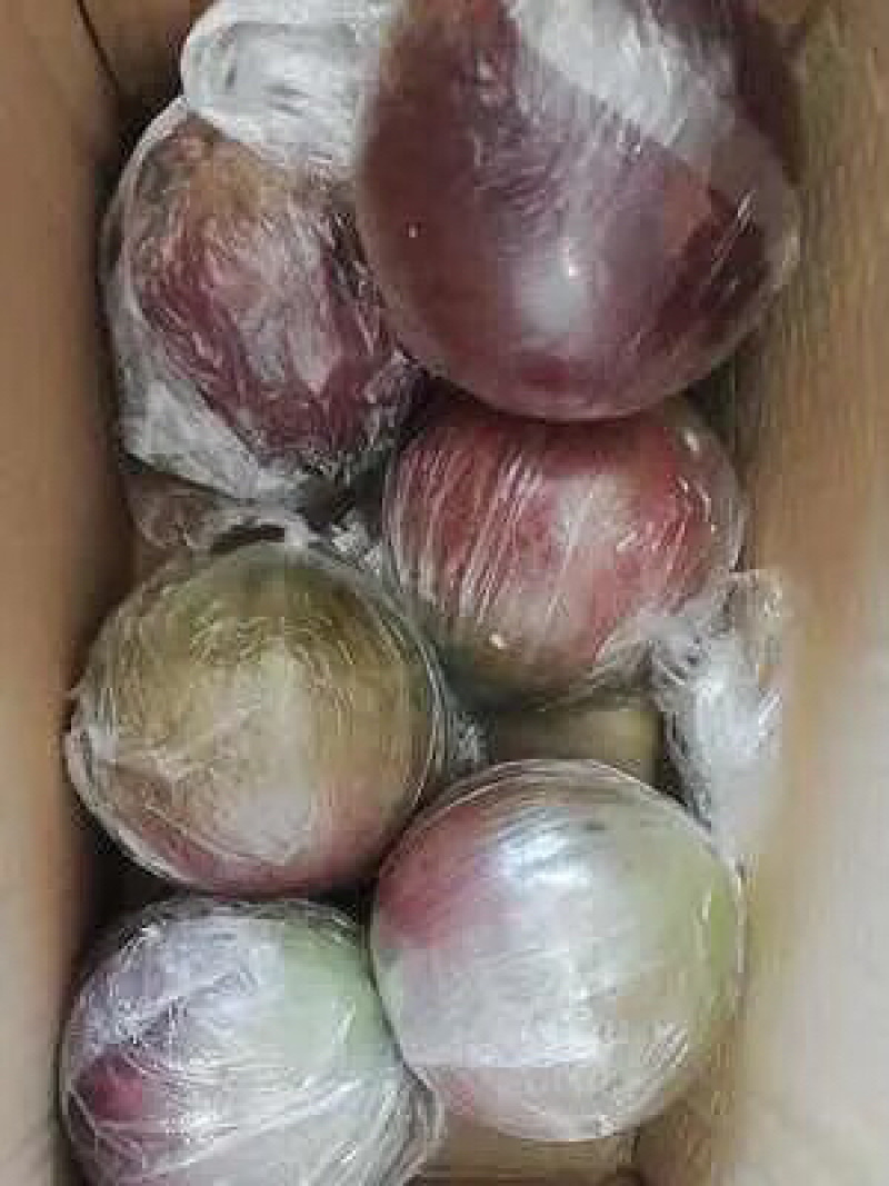 紫色牛奶果