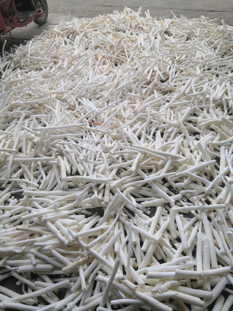 通草通草广西大通草药用通草农户自已摘的