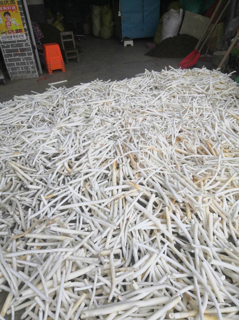 通草通草广西大通草药用通草农户自已摘的