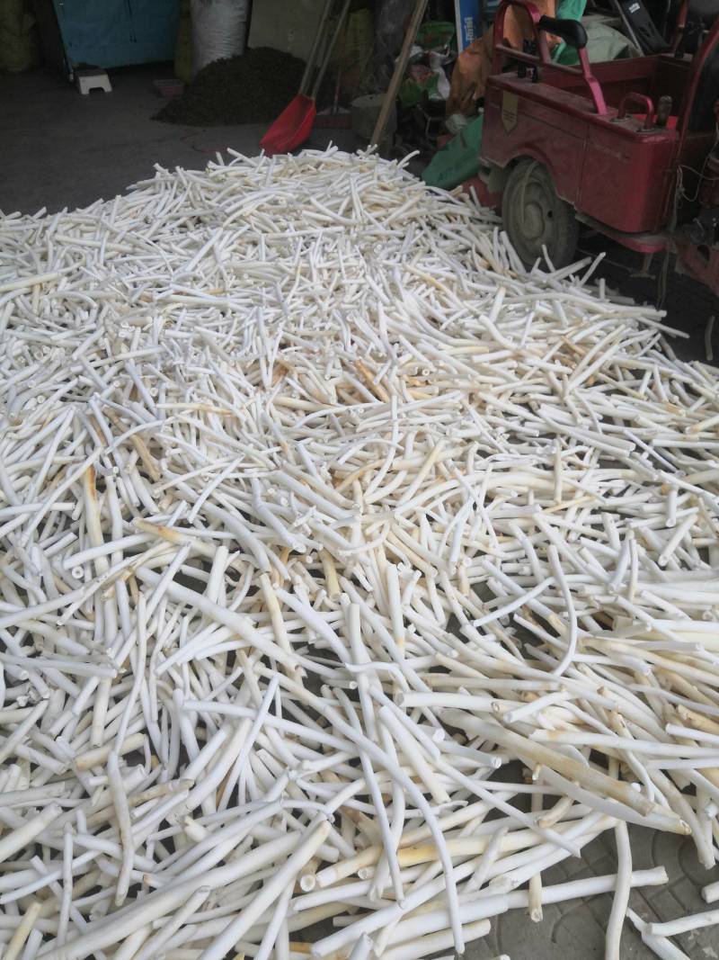 通草通草广西大通草药用通草农户自已摘的