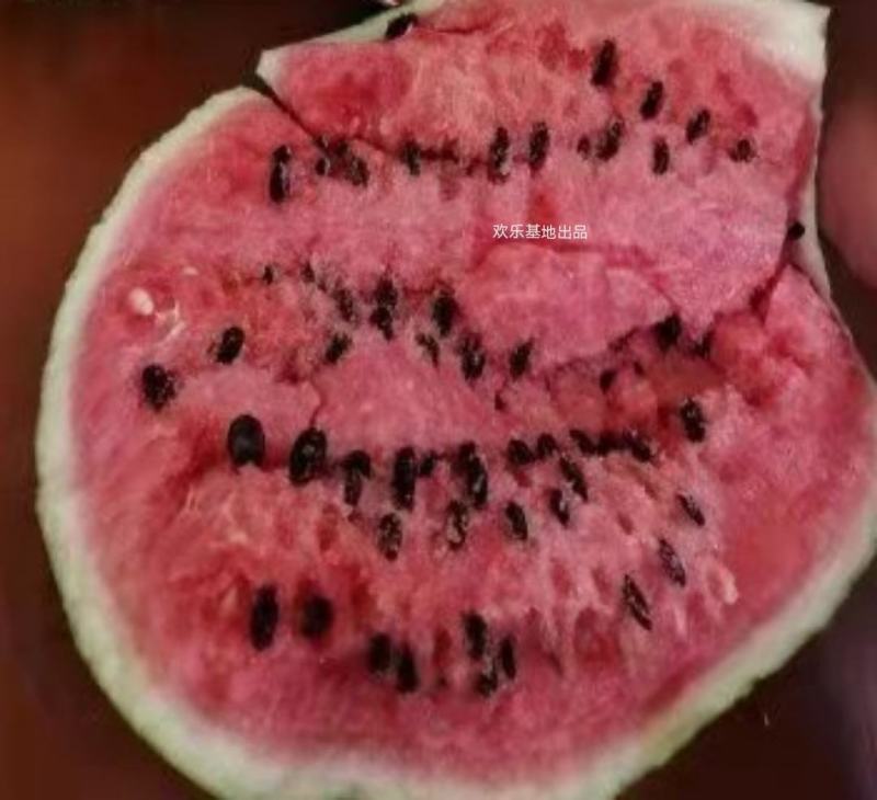 麒麟冰糖西瓜