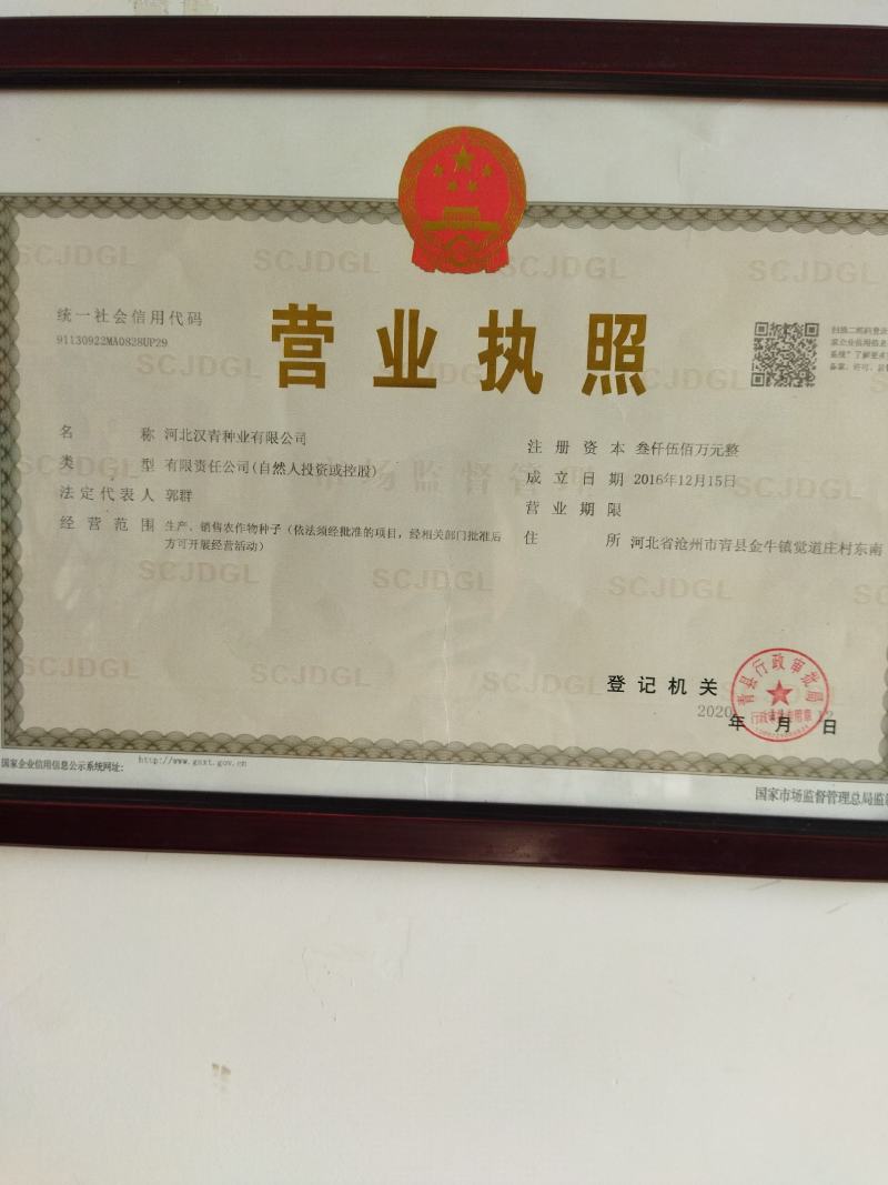 汉青二号株高一米二-一米三，中颗粒高粱积温二千七