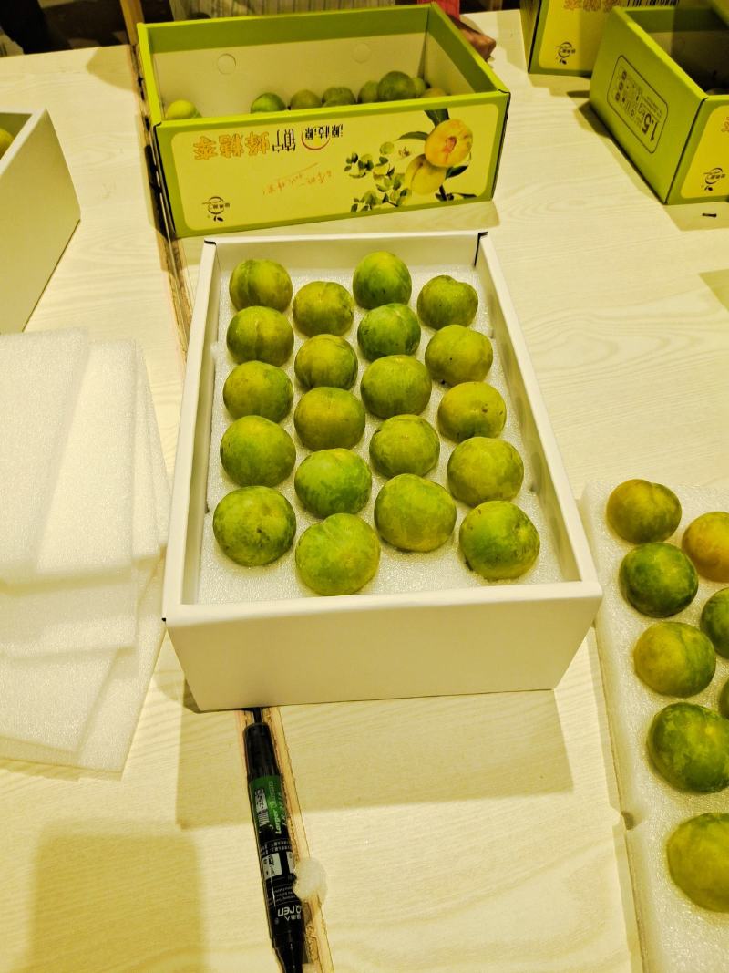 贵州六马四月李冰脆李青脆李长期合作代办蜂糖李