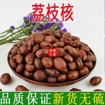 中药材荔枝核荔仁荔枝骨散装包邮