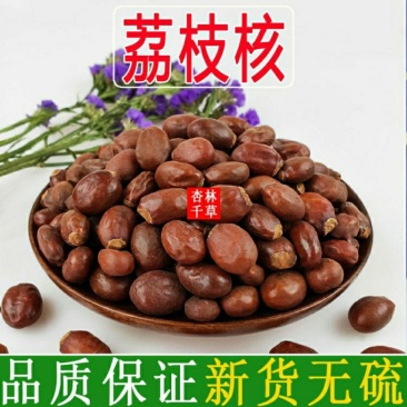 中药材荔枝核荔仁荔枝骨散装包邮