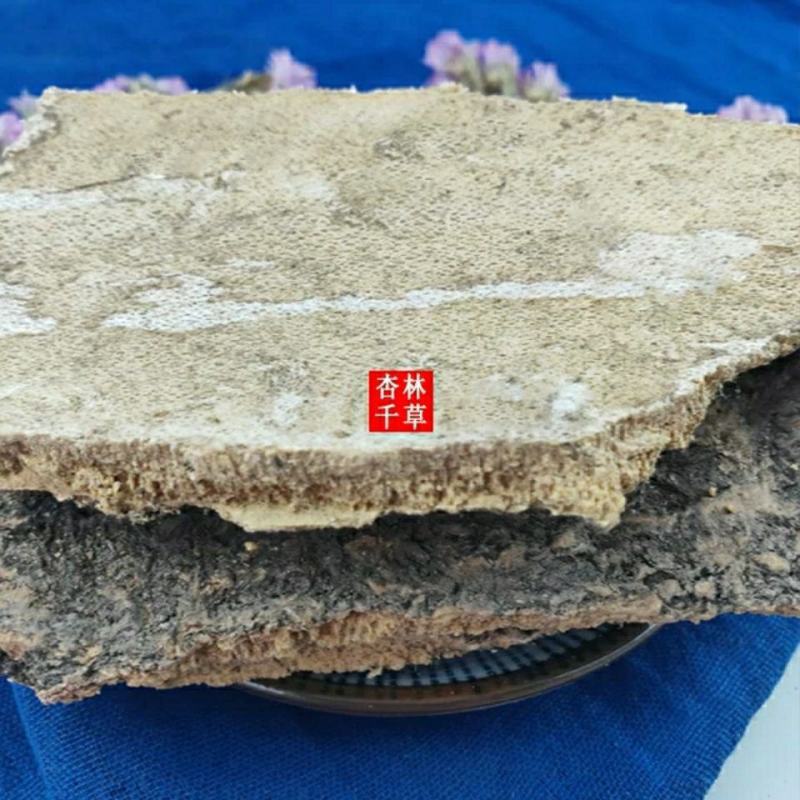 云南野生中药材椿树皮臭椿树皮椿树干皮椿身皮包邮