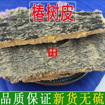 云南野生中药材椿树皮臭椿树皮椿树干皮椿身皮包邮