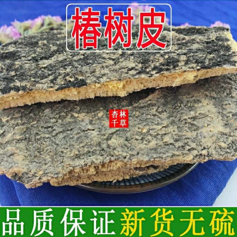 云南野生中药材椿树皮臭椿树皮椿树干皮椿身皮包邮