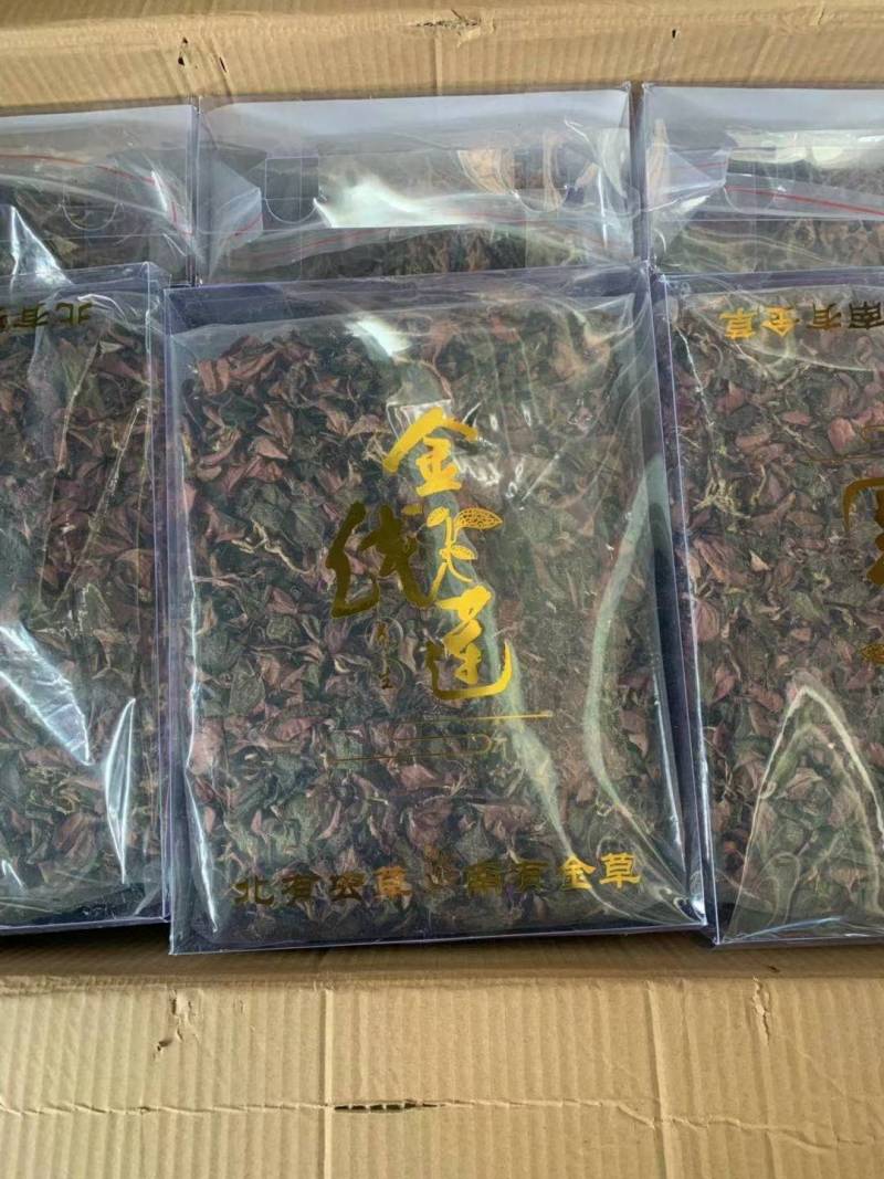 金线莲福建产地批发金线莲大量现货一手货源支持一代发货