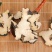 云南野生中药材猪苓猪屎苓野生无硫无增重包邮