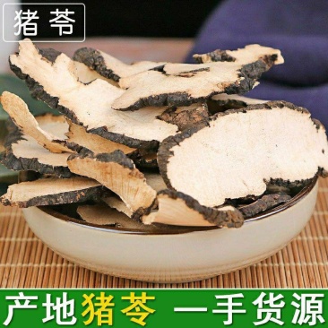 云南野生中药材猪苓猪屎苓野生无硫无增重包邮
