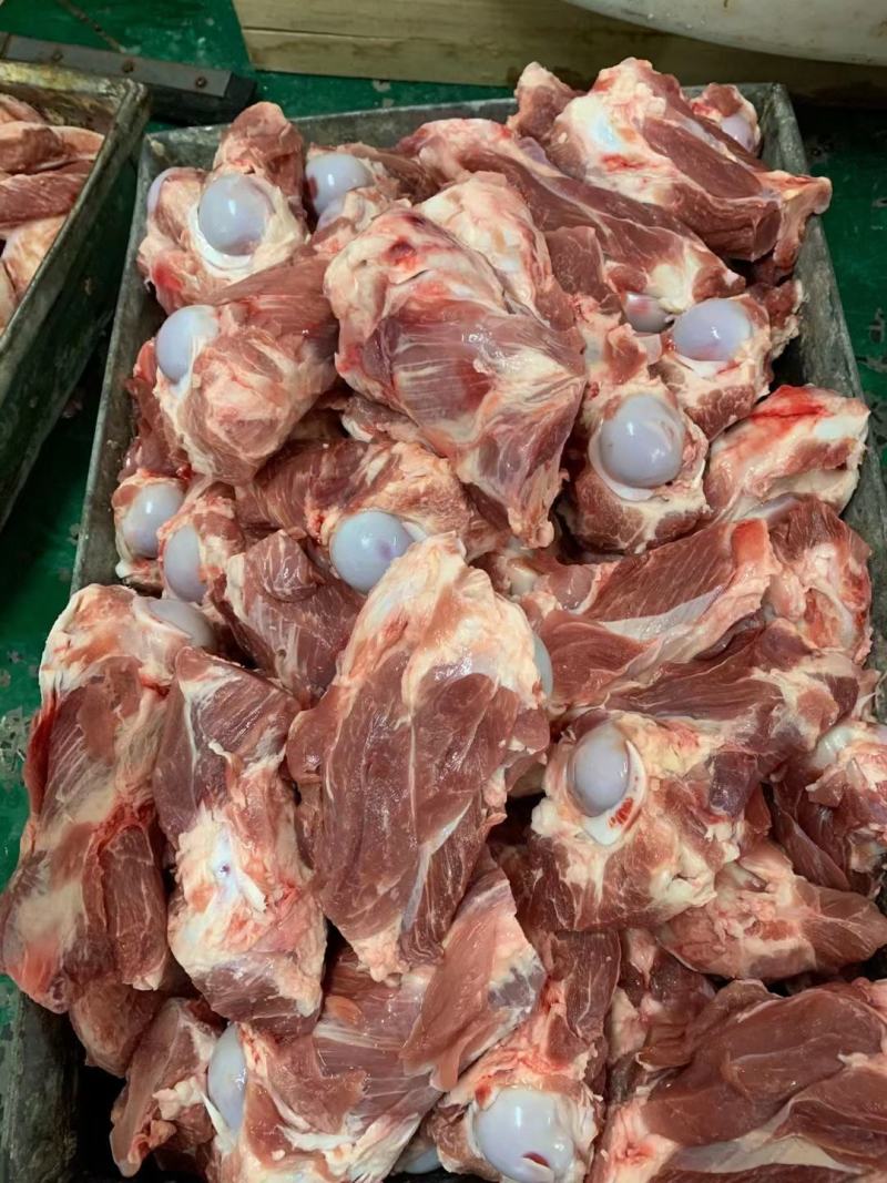 国产肥猪满肉半截前腿骨，百分之五十肉，吃肉带骨髓