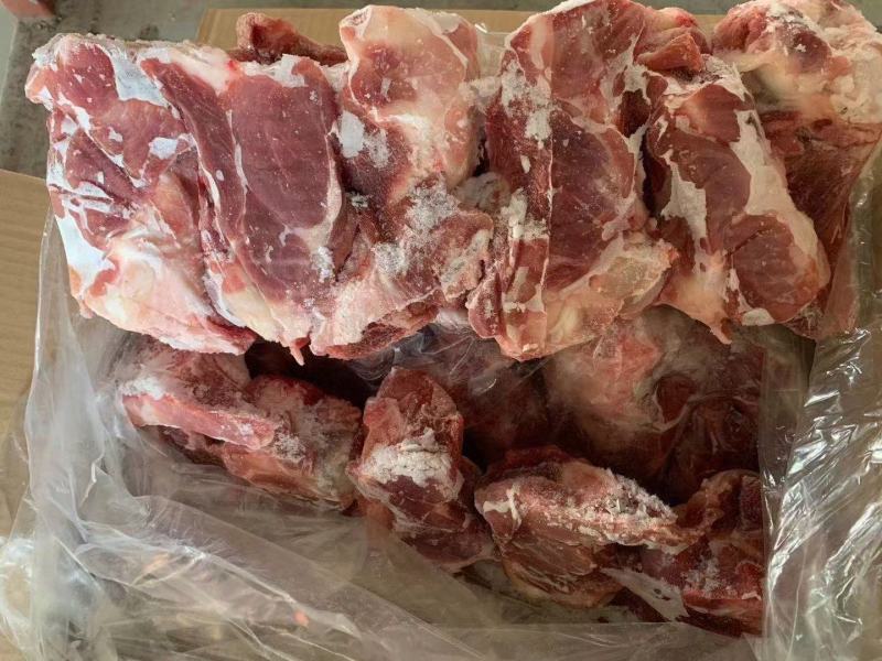 国产肥猪满肉半截前腿骨，百分之五十肉，吃肉带骨髓