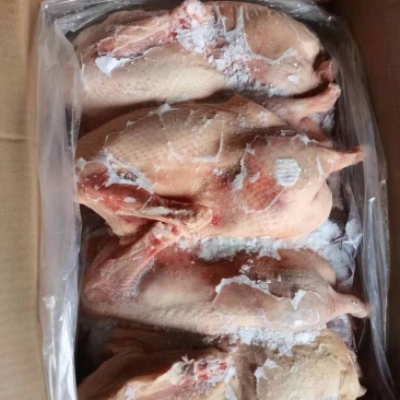 半片鸭/鸭半片（单只套袋）