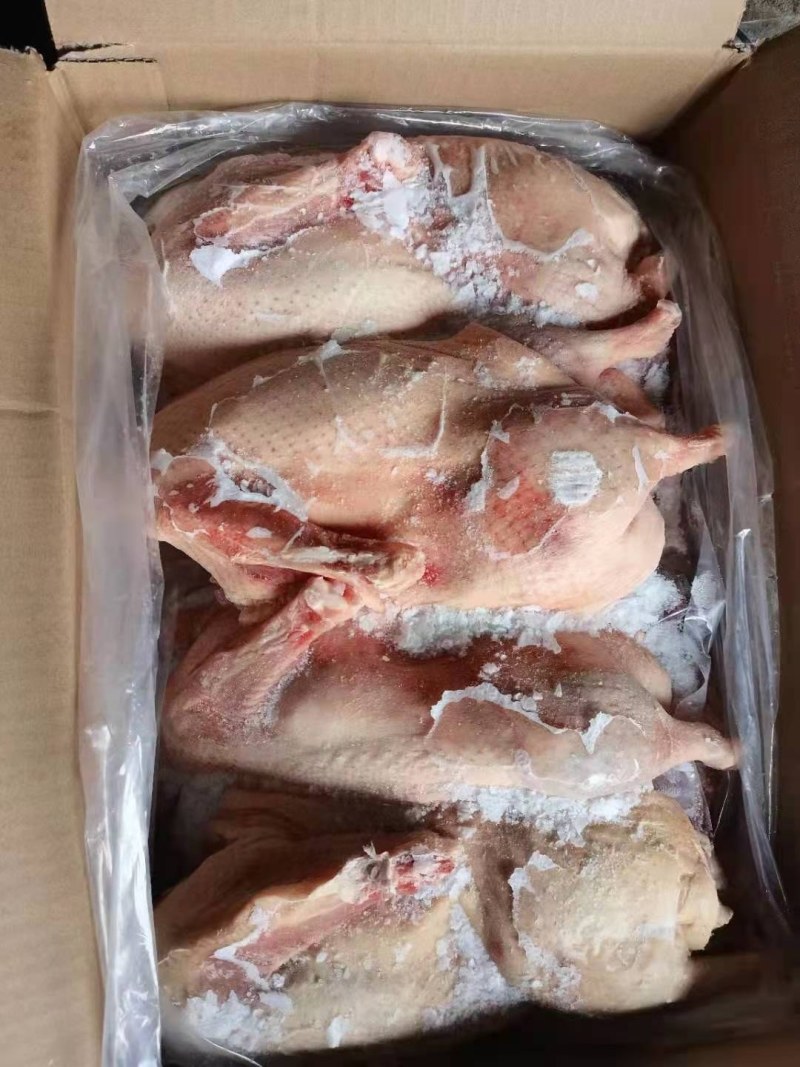 半片鸭/鸭半片（单只套袋）