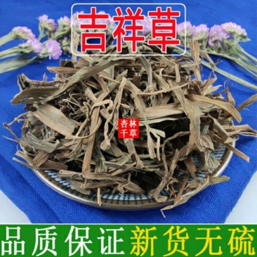 云南野生中药材吉祥草玉带草观音草小叶万年青包邮