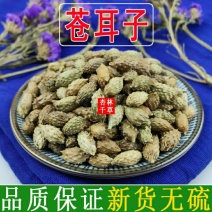 野生苍耳子成熟苍耳子牛虱子散装一件包邮
