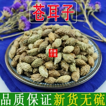 野生苍耳子成熟苍耳子牛虱子散装一件包邮