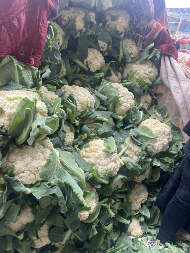 【推荐】有机花菜产地直发大量现货可视频看货品质保证