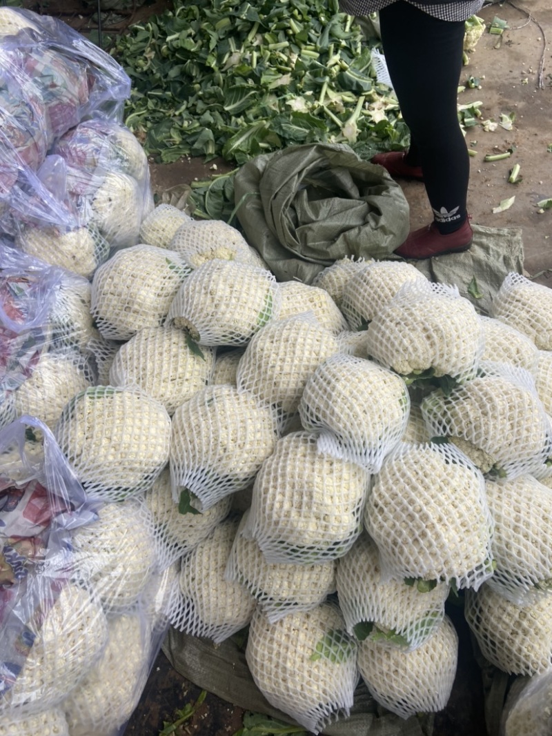 【推荐】有机花菜产地直发大量现货可视频看货品质保证