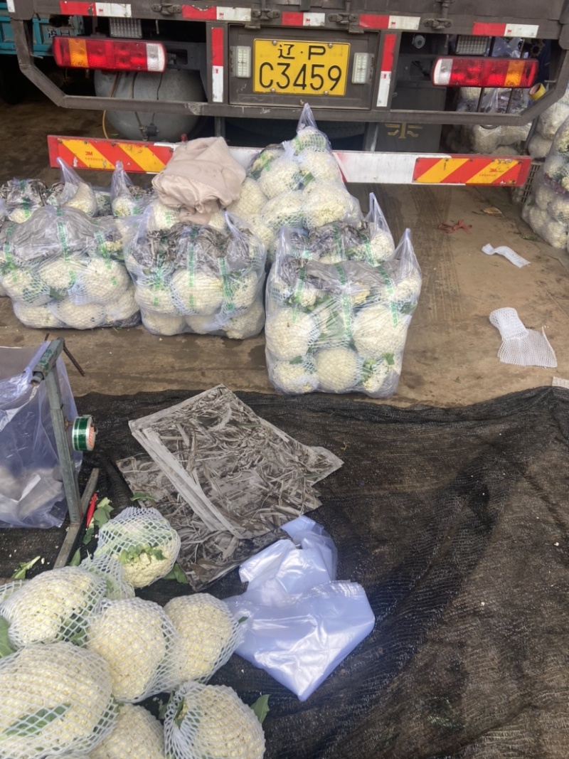 【推荐】有机花菜产地直发大量现货可视频看货品质保证