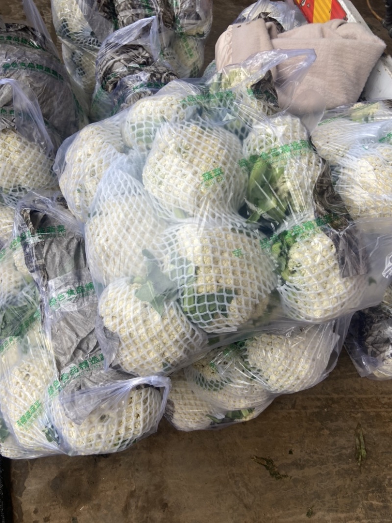 【推荐】有机花菜产地直发大量现货可视频看货品质保证
