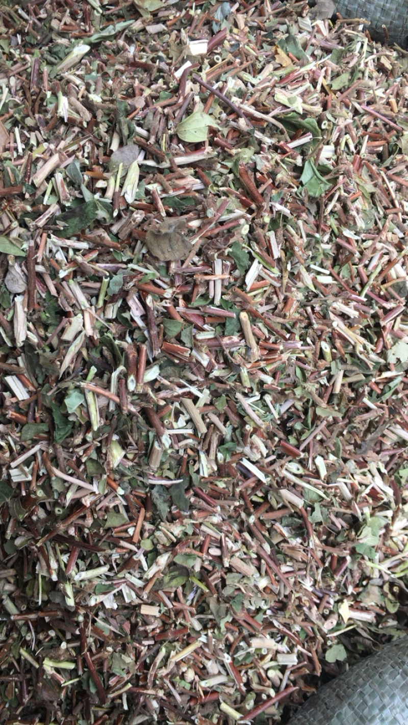 银花藤忍冬藤大货新货无硫量大包邮