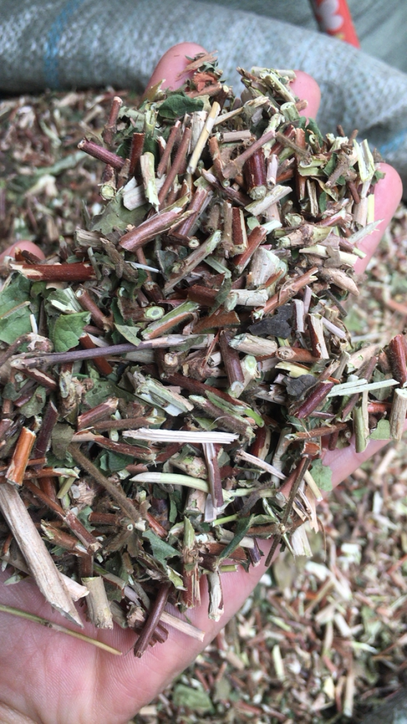 银花藤忍冬藤大货新货无硫量大包邮