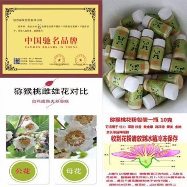 巧熊猫猕猴桃花粉销售
