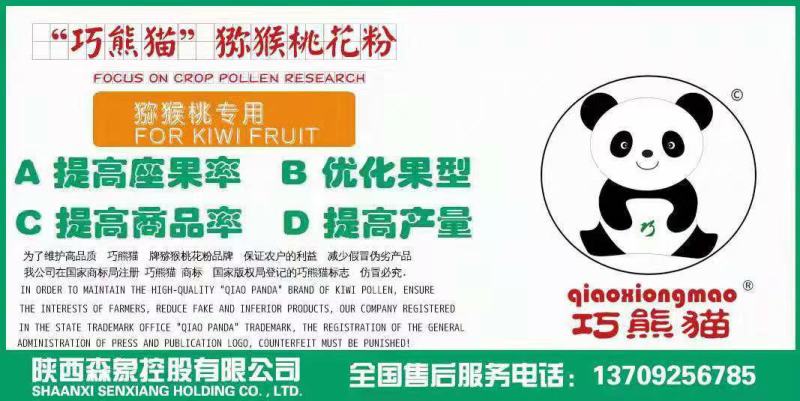 巧熊猫猕猴桃花粉销售