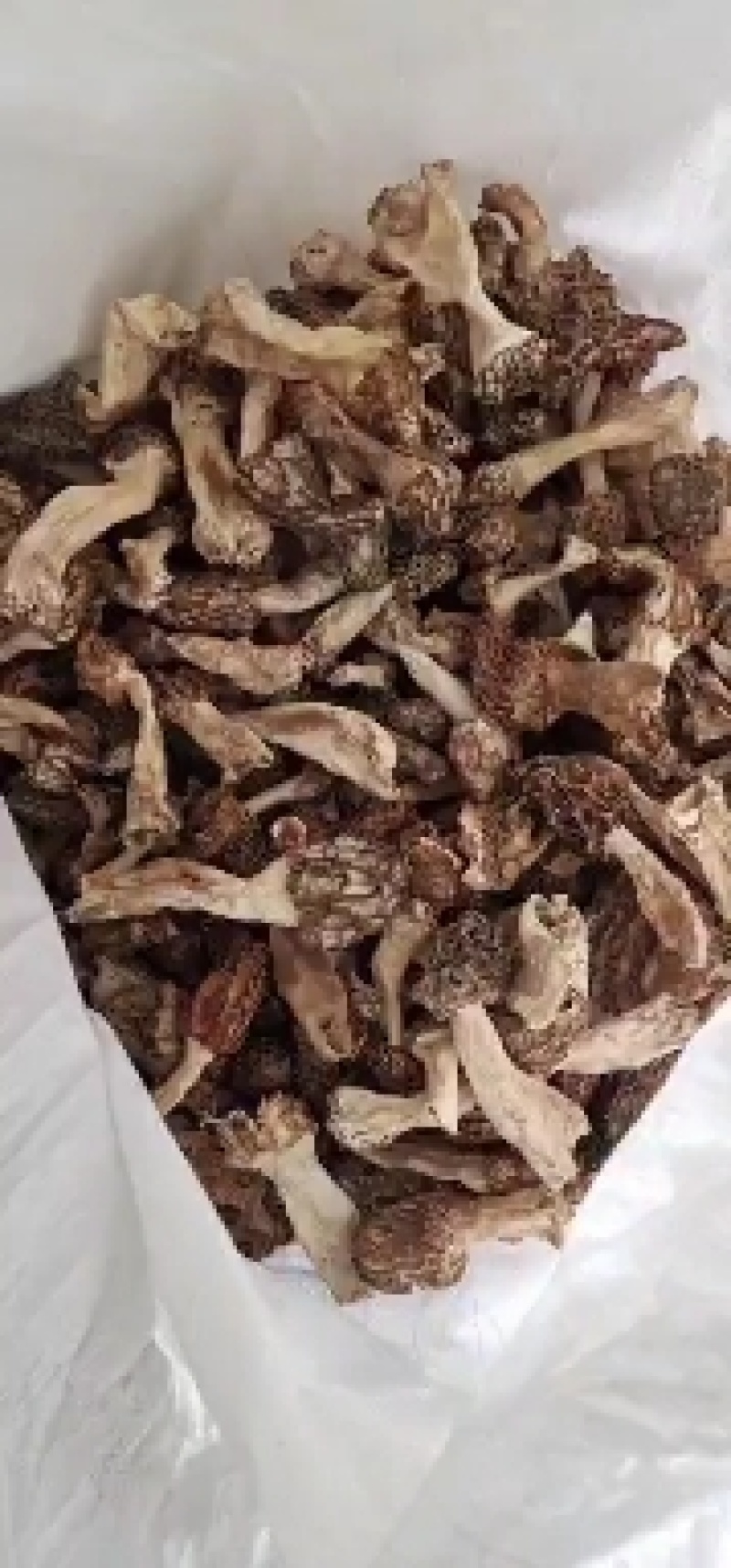 正宗秦岭野生羊肚菌，货真价实，假一赔十，一手货源