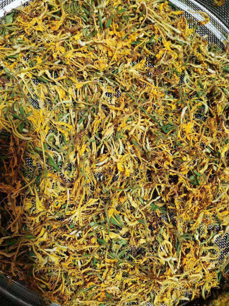 【野生晒干】金银花五彩花双色花高山野生金银花0添加无色素