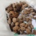 夏禹林农业珙桐（中华鸽子树）种子种籽基地直销