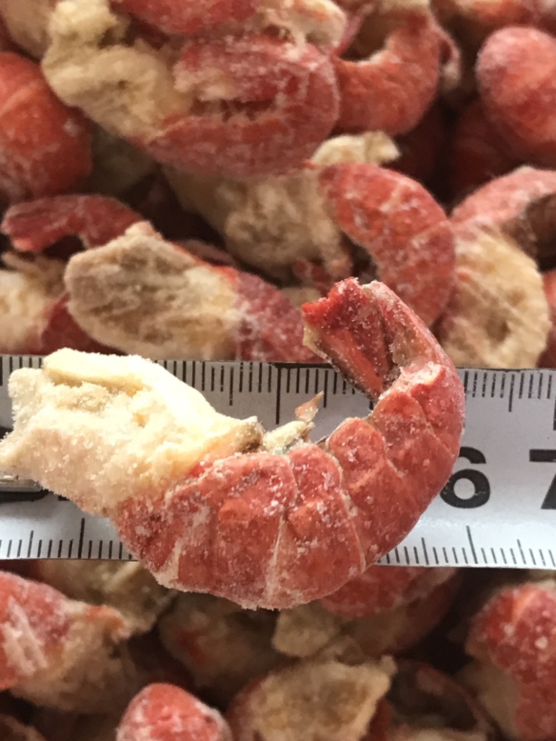 龙虾尾，淡水龙虾尾，不断壳不断肉，活虾现拨
