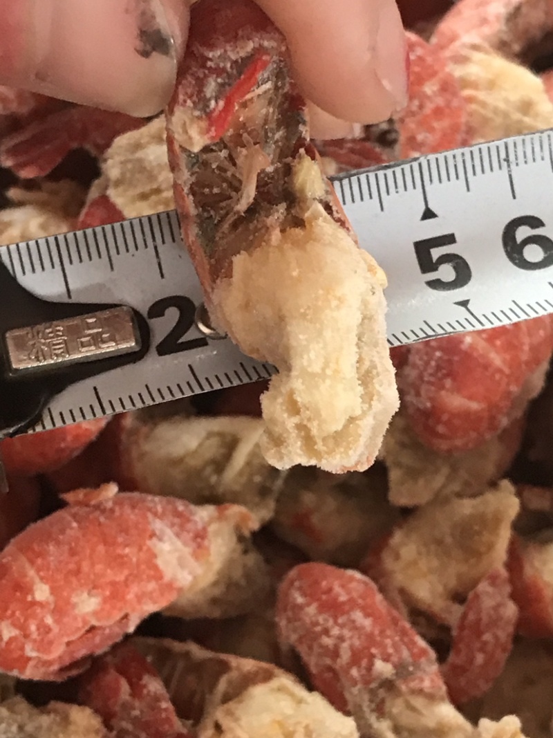 龙虾尾，淡水龙虾尾，不断壳不断肉，活虾现拨