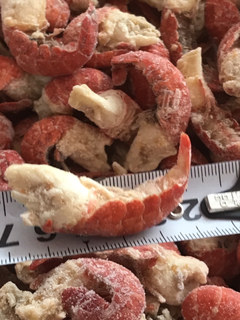 龙虾尾，淡水龙虾尾，不断壳不断肉，活虾现拨