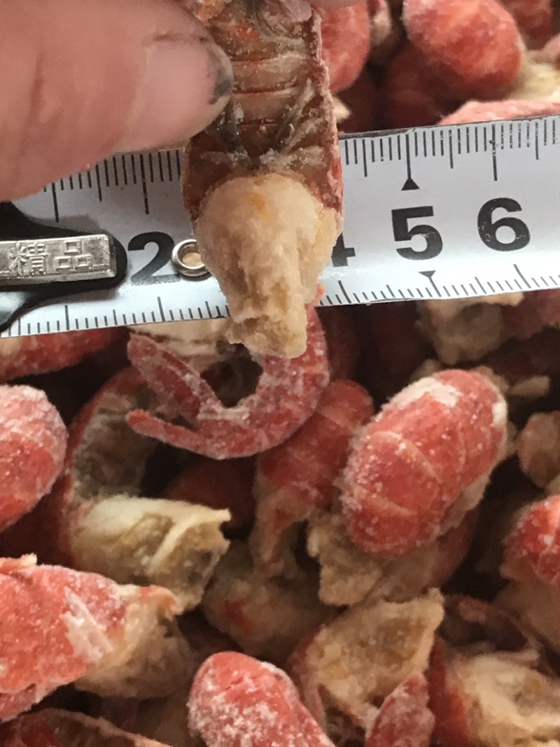 龙虾尾，淡水龙虾尾，不断壳不断肉，活虾现拨