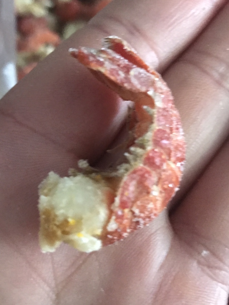 龙虾尾，淡水龙虾尾，不断壳不断肉，活虾现拨