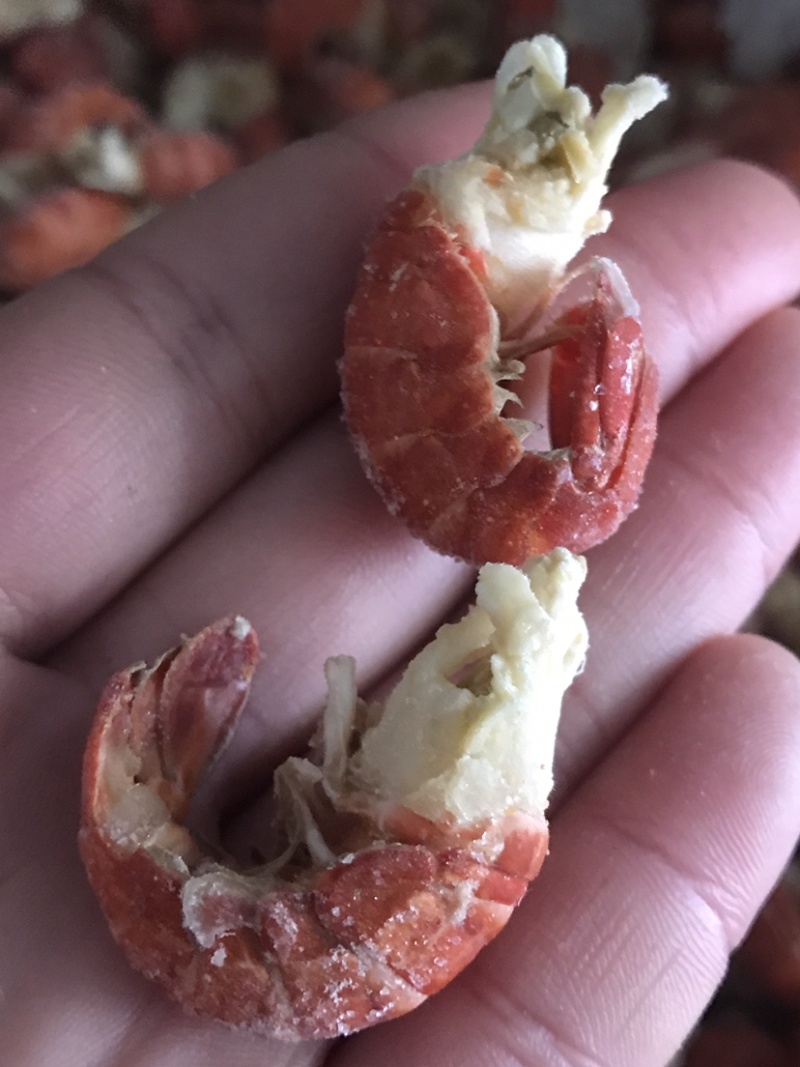 龙虾尾，淡水龙虾尾，不断壳不断肉，活虾现拨