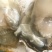 生蚝，肥蚝，乳山生蚝，个头大，质量保证，